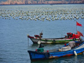 私募基金行业法律动态(2019年5月/总第16期)