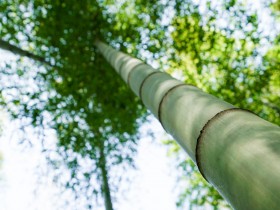 私募基金行业法律动态(2019年9月/总第20期)