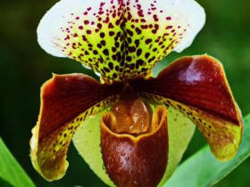 新规!创投基金减持上市公司股份又放宽了