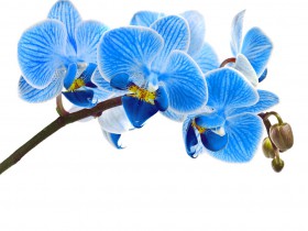 杨春宝高级律师就首例爬虫禁令接受PaRR记者采访