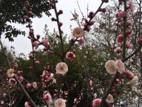 私募基金行业2020年度12个典型司法判例