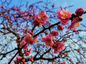 私募基金行业法律动态(2020年12月/总第34期)