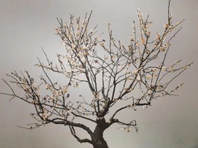 代言P2P的明星要还钱吗?北京下发通知要求代言人配合清退