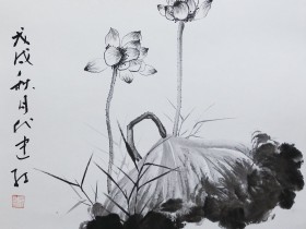 法律桥:私募基金行业法律动态(2024年2月/总第72期)